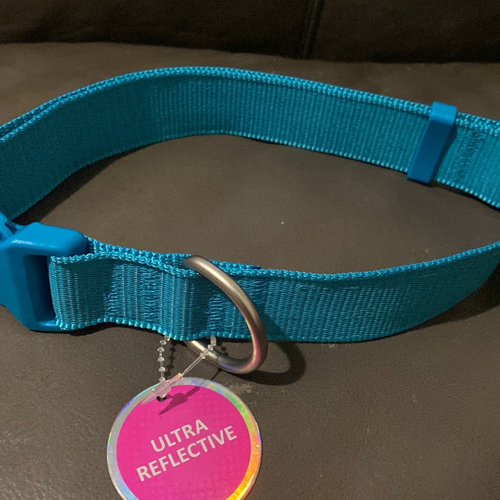 Dog Collar XL